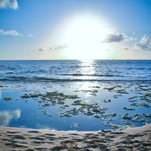 Meet your Posher, Jeff